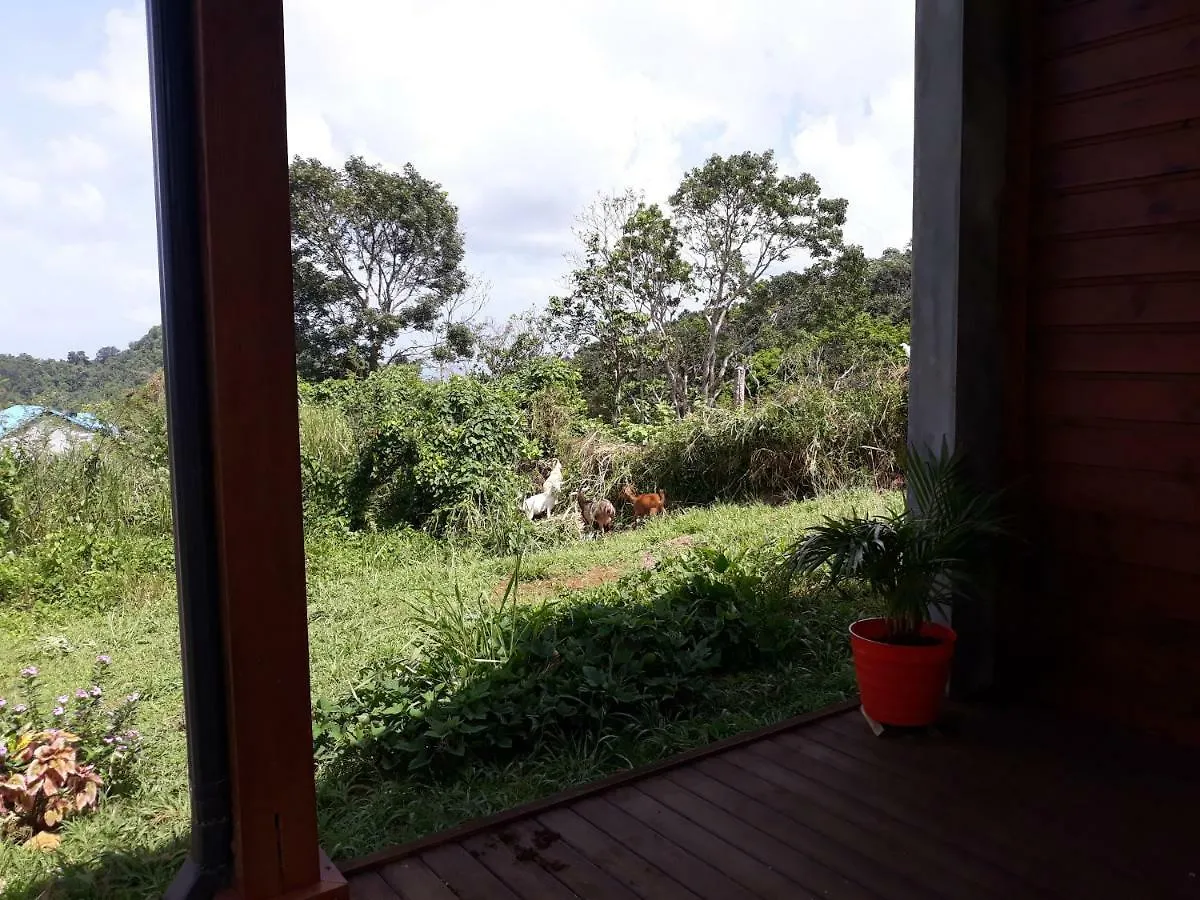 Holiday home Prune De Coton Deshaies